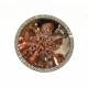 DS373P(P)