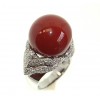 DR748(CORAL)