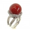 DR384(CORAL)