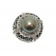 DS894P(2)