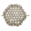 SBR2353